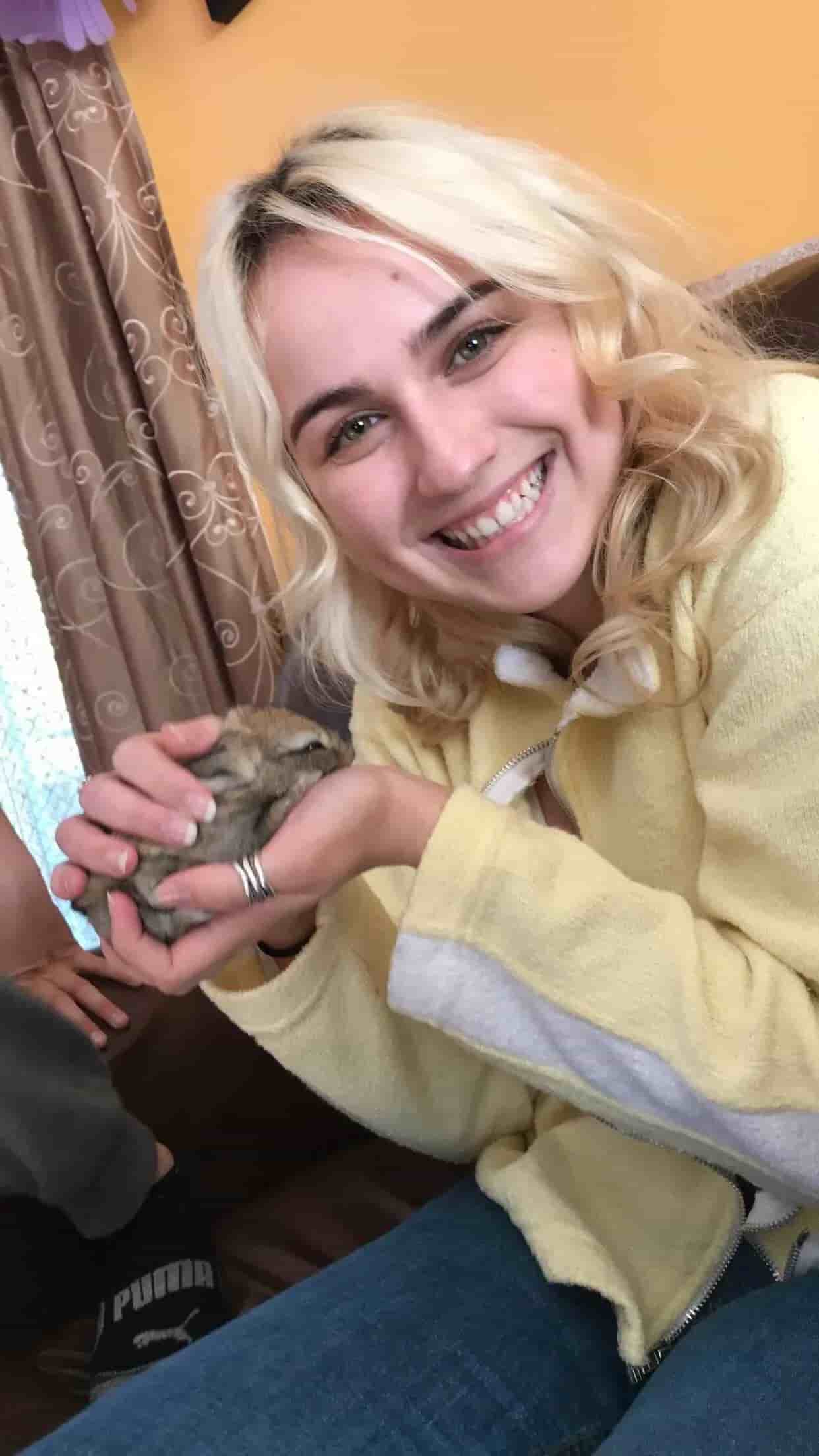 🐇