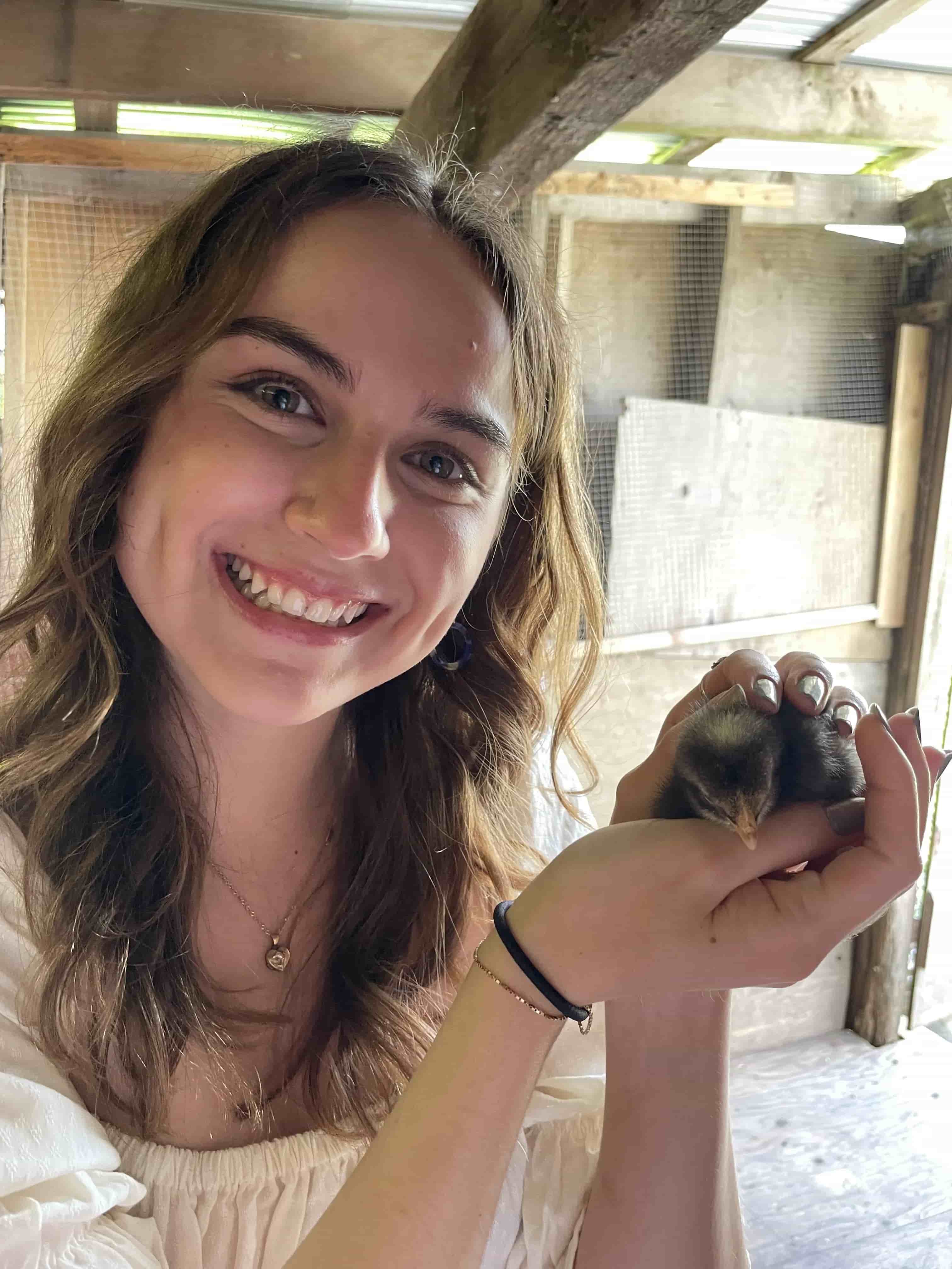 🐥