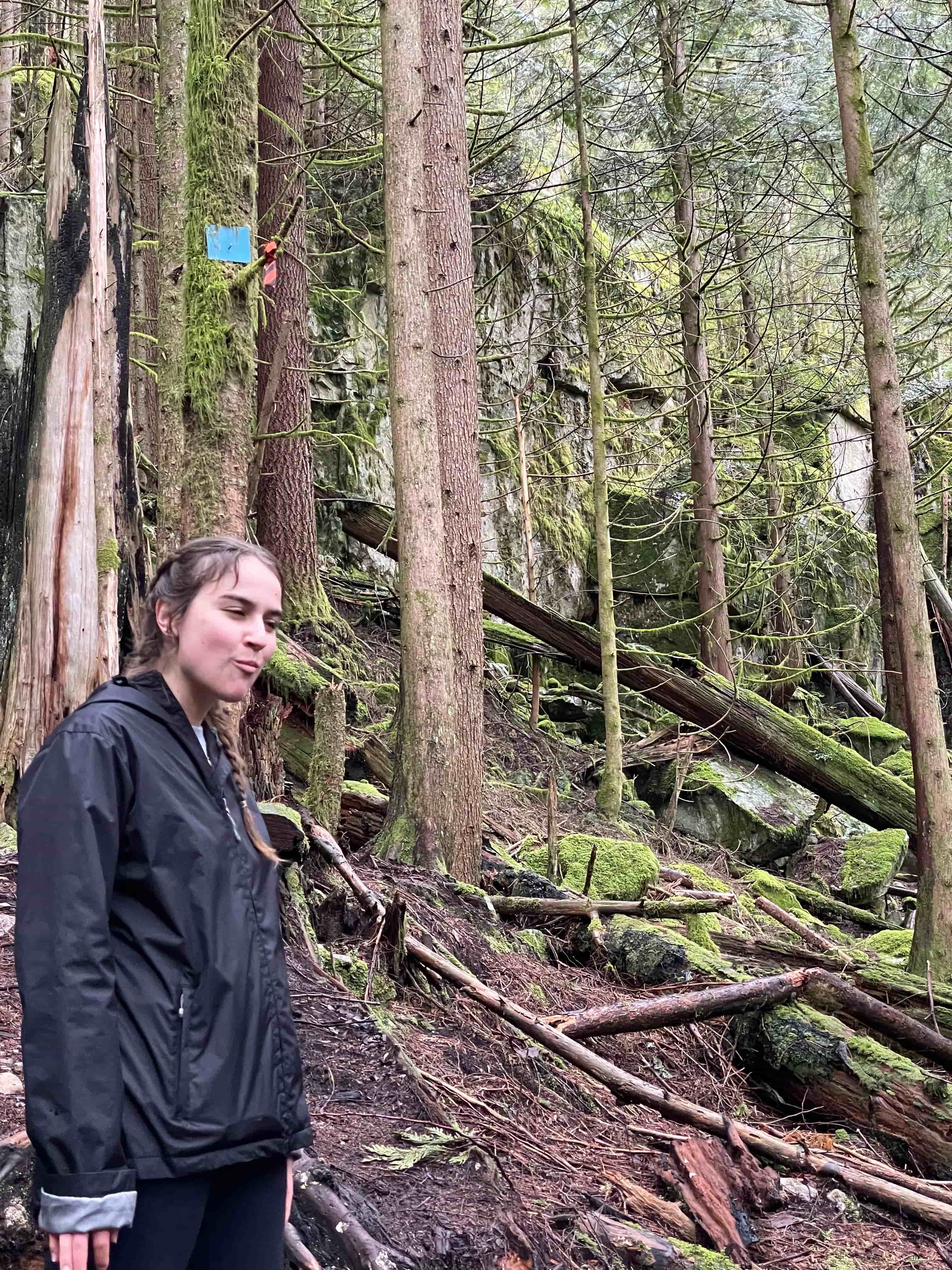 🐵 face in the mountain